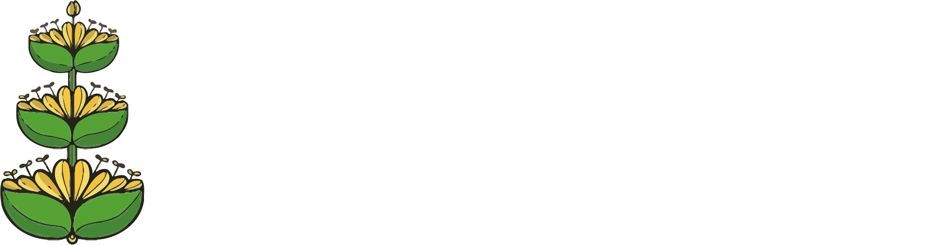 Herboristería Genciana